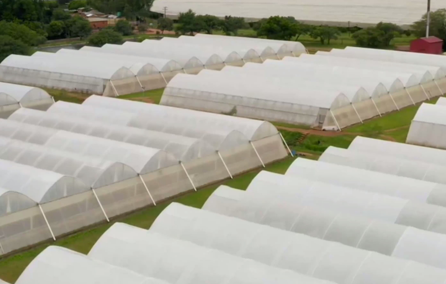 高进高出≠真繁荣!25年12月HDPE进出口双增,竟是套利与去库存驱动!